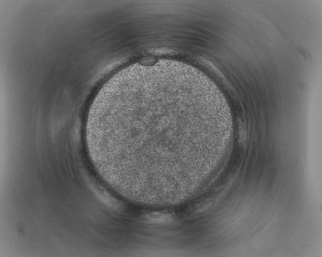 X0000113240447200910221104