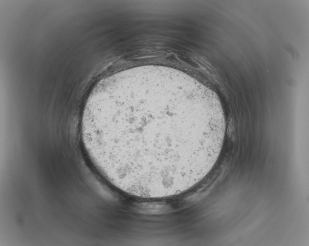 X0000113240449200910221104