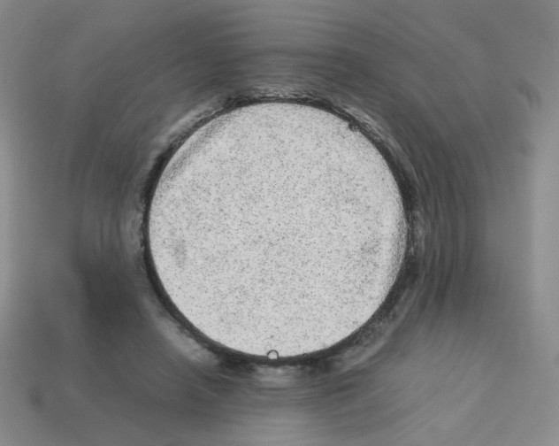 X0000113240450200910221104