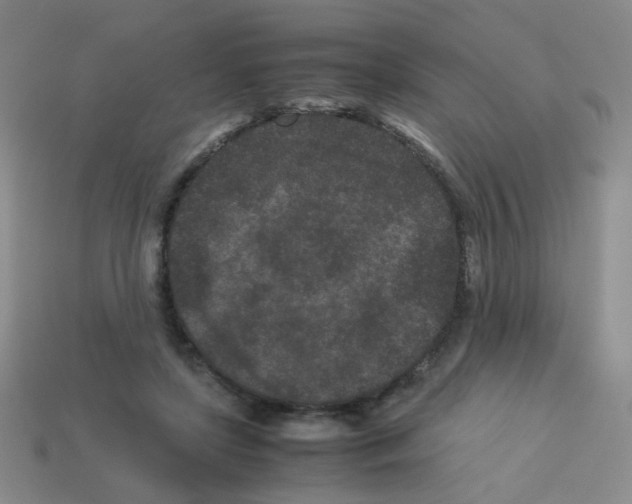 X0000113240451200910221104