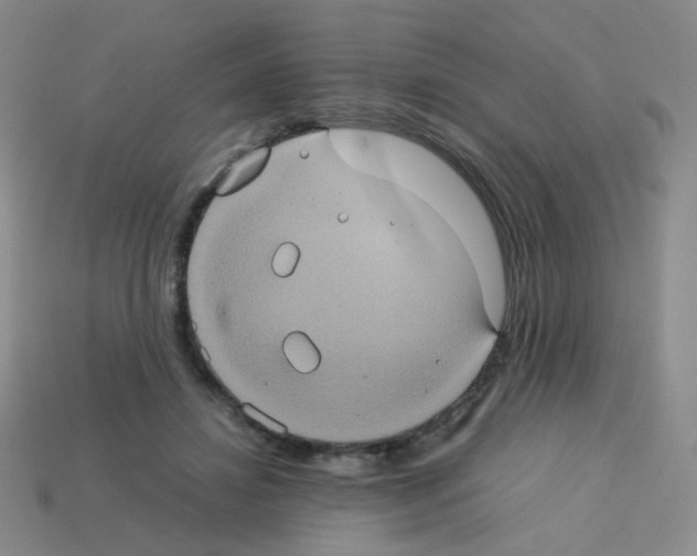 X0000113240452200910221104