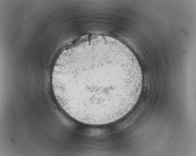 X0000113240453200910221104