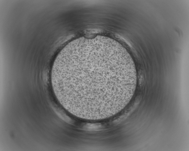 X0000113240455200910221104