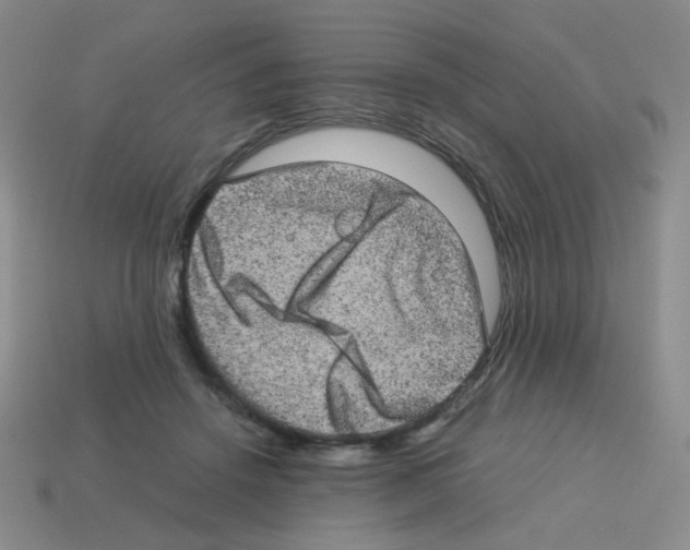 X0000113240456200910221104