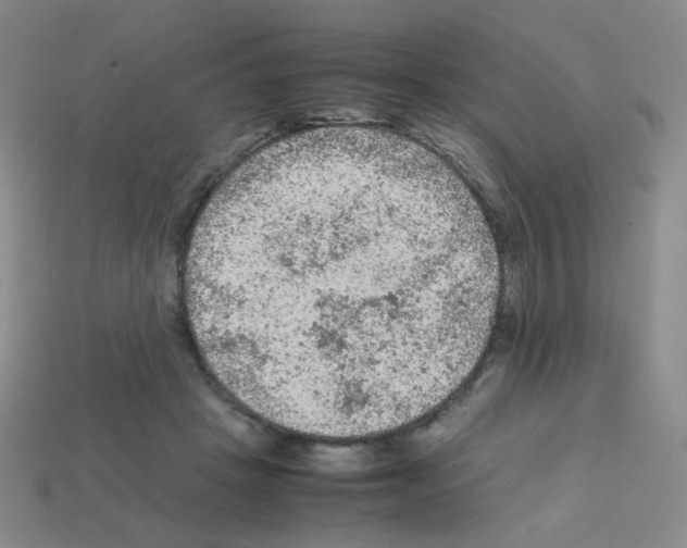 X0000113240457200910221104