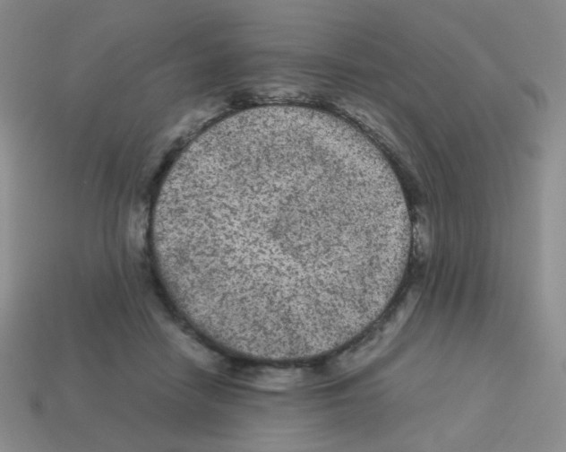 X0000113240458200910221104