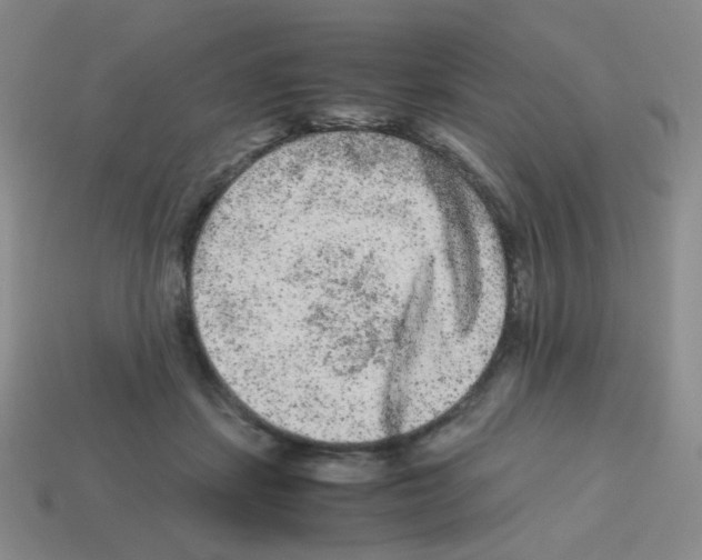 X0000113240459200910221104