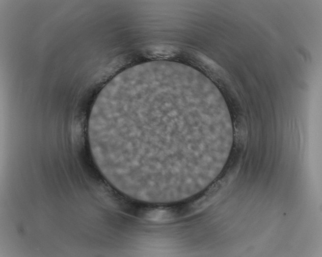 X0000113240460200910221104