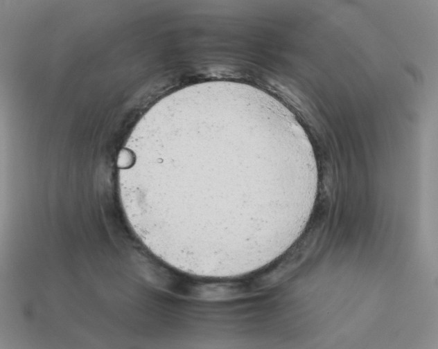 X0000113240461200910221104