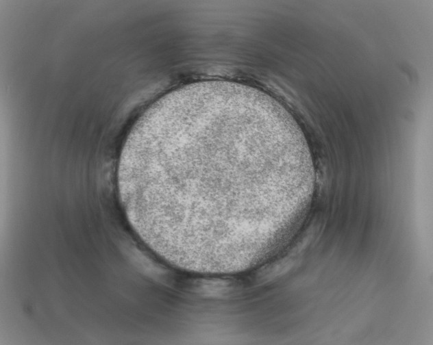 X0000113240462200910221104