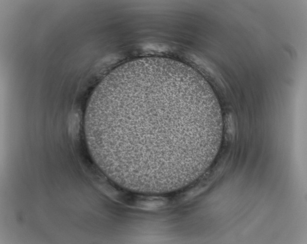 X0000113240463200910221104