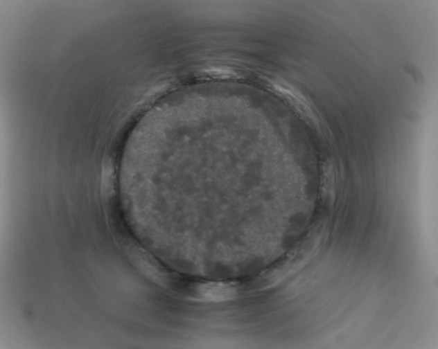 X0000113240465200910221104