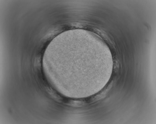 X0000113240466200910221104