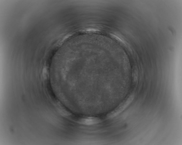 X0000113240467200910221104