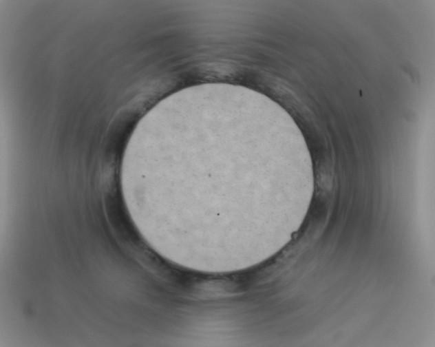 X0000113240468200910221104