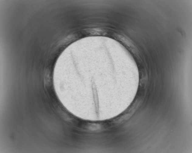X0000113240469200910221104