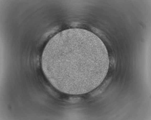 X0000113240470200910221104