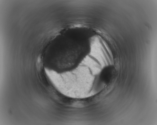 X0000113240471200910221104