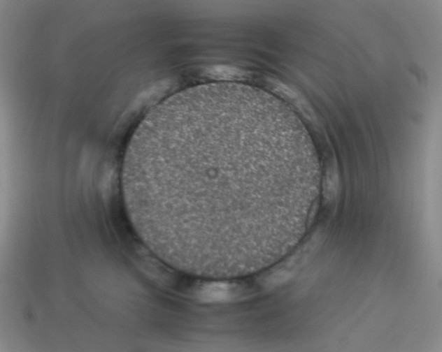 X0000113240473200910221104
