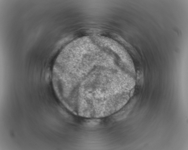 X0000113240474200910221104