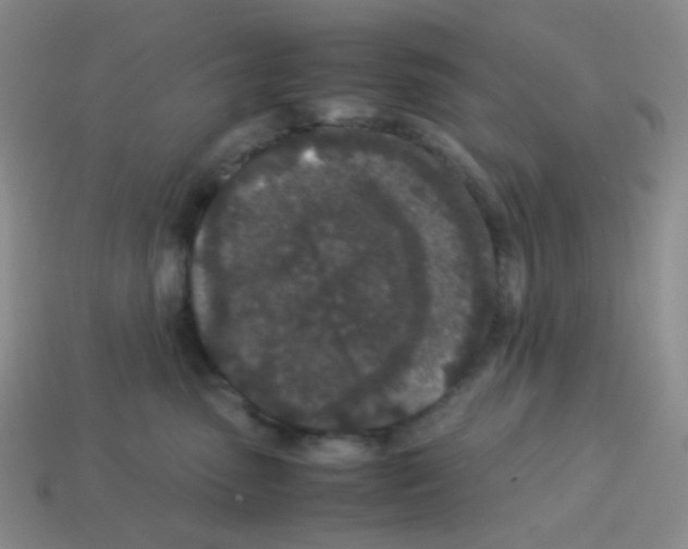 X0000113240475200910221104