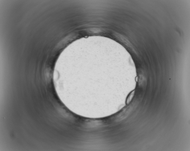 X0000113240476200910221104