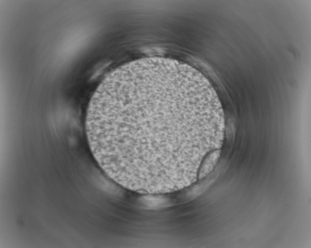 X0000113240477200910221104