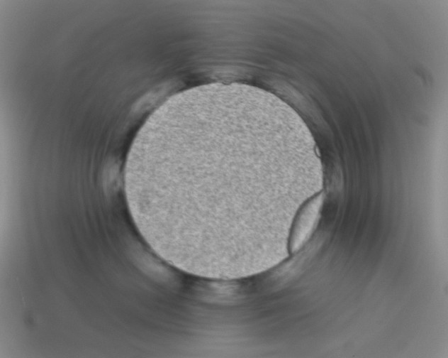 X0000113240478200910221104