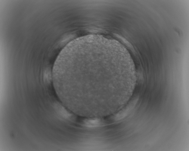 X0000113240479200910221104