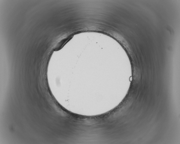 X0000113240481200910221103
