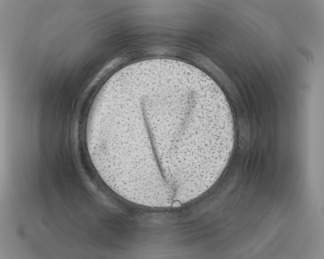 X0000113240482200910221103