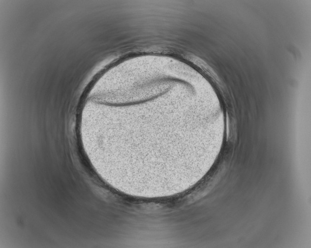 X0000113240483200910221103