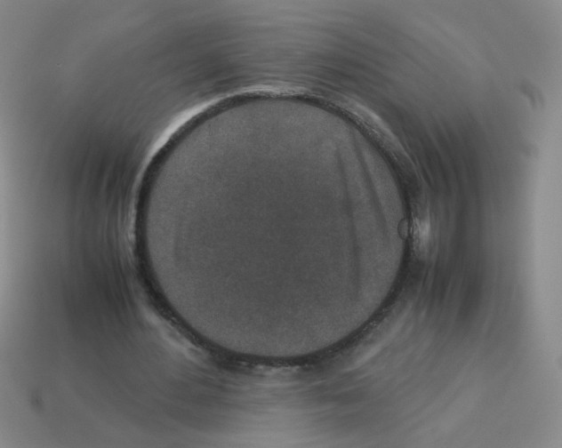X0000113240484200910221103