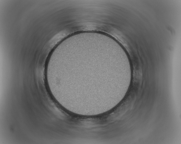 X0000113240485200910221103
