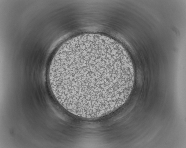 X0000113240486200910221103