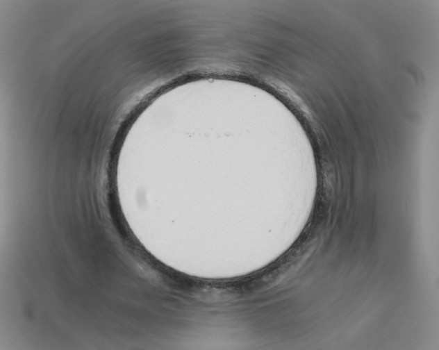 X0000113240487200910221103
