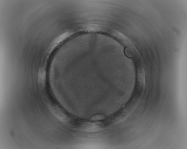 X0000113240488200910221103