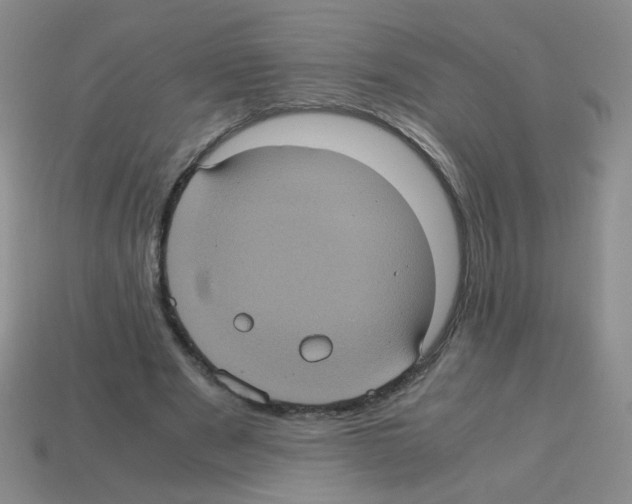 X0000113240489200910221103