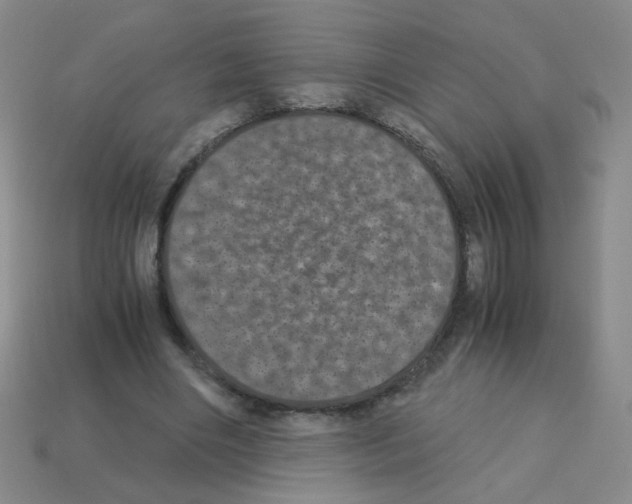 X0000113240490200910221103