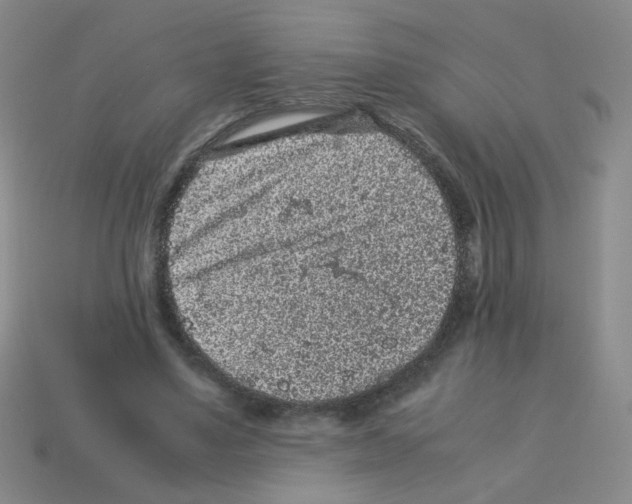 X0000113240491200910221103