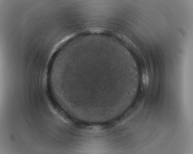 X0000113240492200910221103