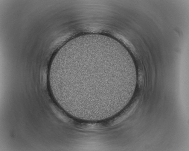 X0000113240493200910221103