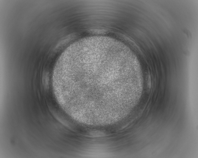 X0000113240494200910221103
