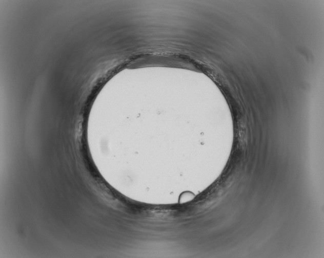 X0000113240495200910221103