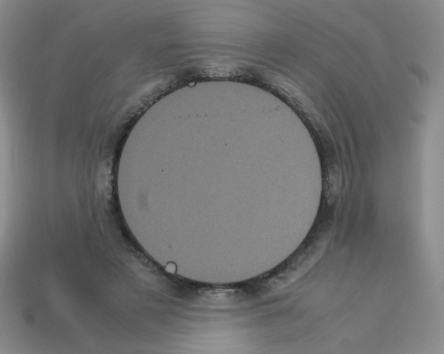 X0000113240497200910221103