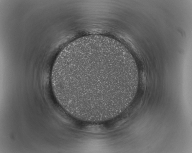 X0000113240499200910221103