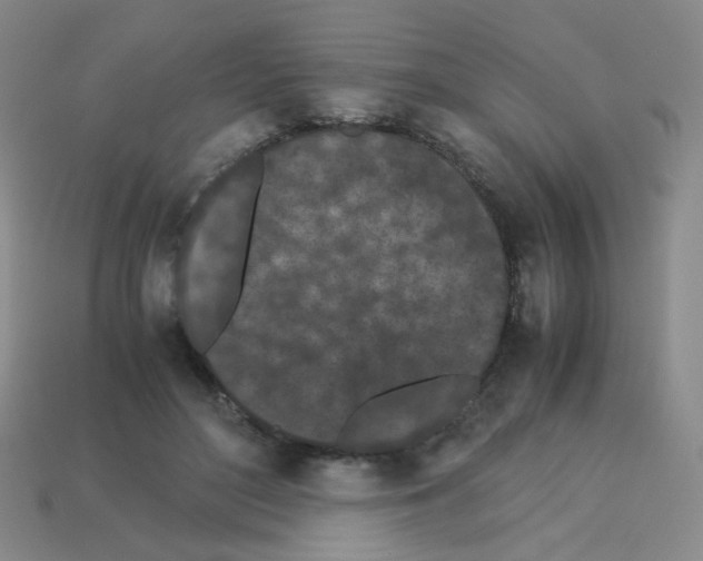 X0000113240500200910221103