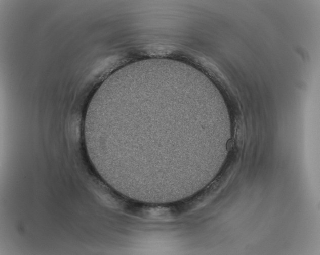 X0000113240501200910221103
