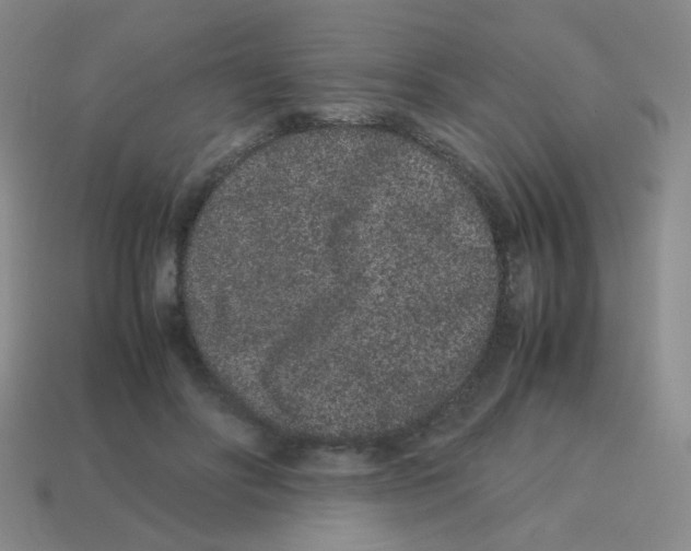 X0000113240502200910221103