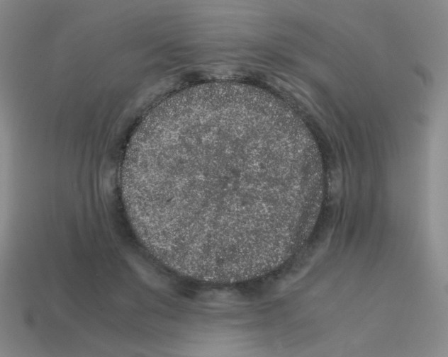 X0000113240503200910221103